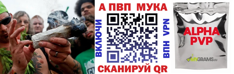 мега маркетплейс  Купино  darknet Telegram  A-PVP кристаллы 