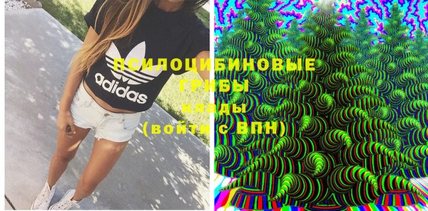 марки lsd Белокуриха