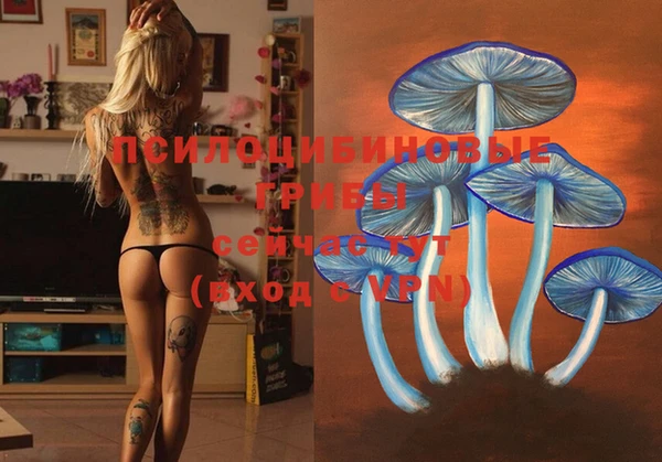 марки lsd Белокуриха