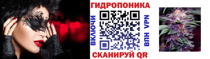 наркотики  Купино  Бошки Шишки сатива 